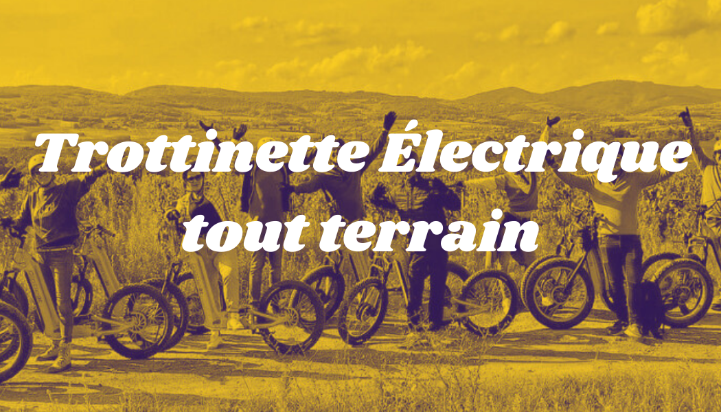 Trotinette électrique tout terrain